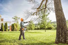 Best Emergency Tree Removal  in Sugarcreek, OH