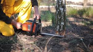 Best Hazardous Tree Removal  in Sugarcreek, OH