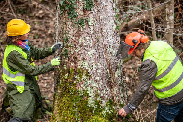  Sugarcreek, OH Tree Care Pros